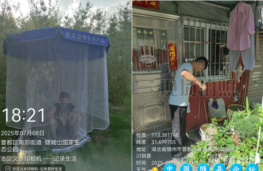 市疾控中心强化防控措施 筑牢基孔肯雅热防线