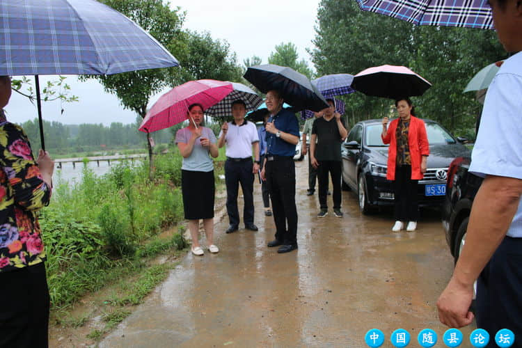 市委组织部常务副部长徐峰到洪山镇督查防汛救灾工作近期发布