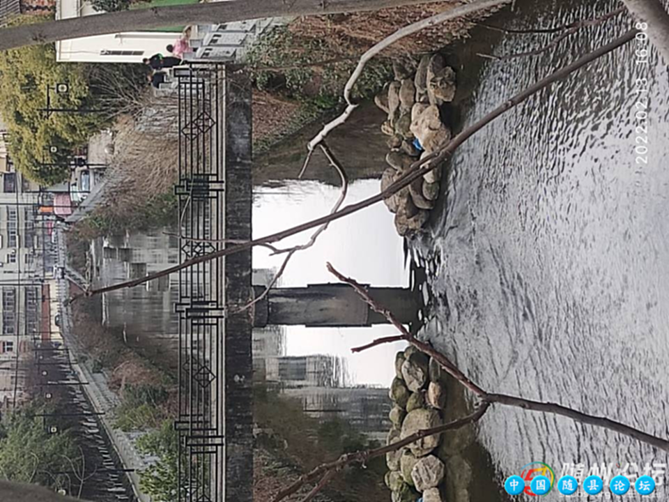 优美的活水！活水,活水优美,活水景观