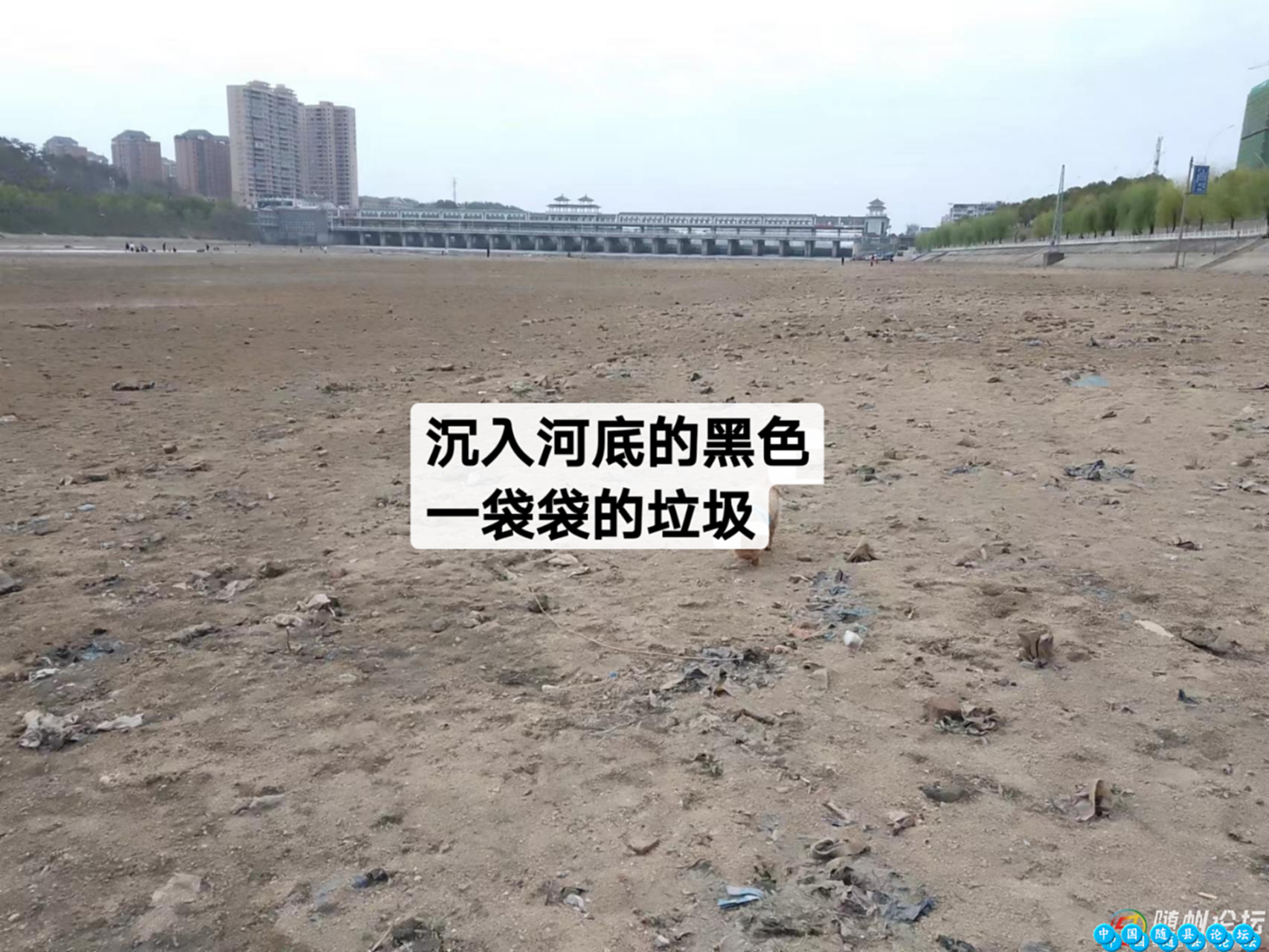 垃圾莫往河里扔水清河畔,环保垃圾分类